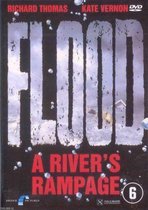 Flood: A River's Rampage (1997) Drama - (Refurbished) 6+